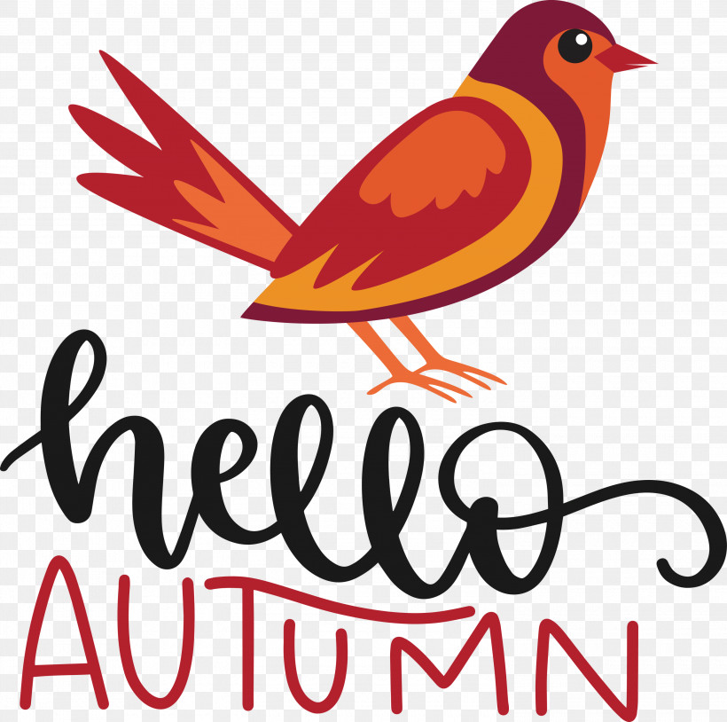 Hello Autumn, PNG, 3000x2979px, Hello Autumn, Beak, Biology, Birds, Geometry Download Free