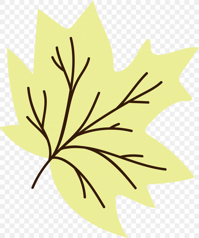 Maple Leaf, PNG, 2509x3000px, Maple Leaf, Biology, Flower, Fruit, Leaf Download Free