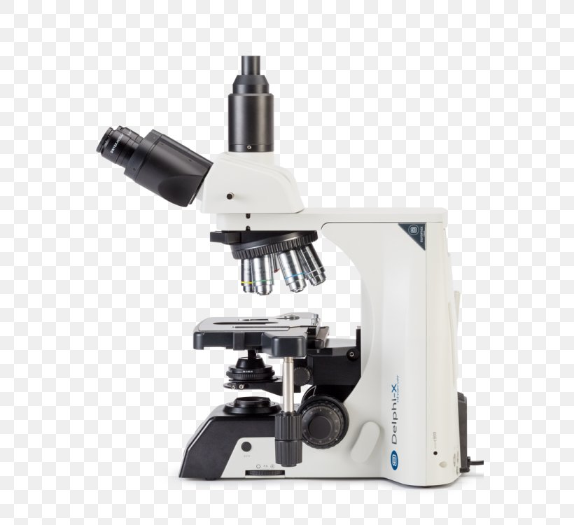 Microscope Optics Numerical Aperture Microscopy Camera Lens, PNG, 563x750px, Microscope, Aperture, Brightfield Microscopy, Camera Lens, Echipament De Laborator Download Free