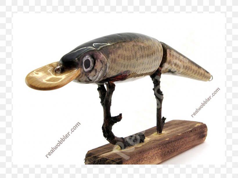 Reptile /m/083vt Wood Fauna, PNG, 1200x900px, Reptile, Fauna, Fishing Bait, Wood Download Free