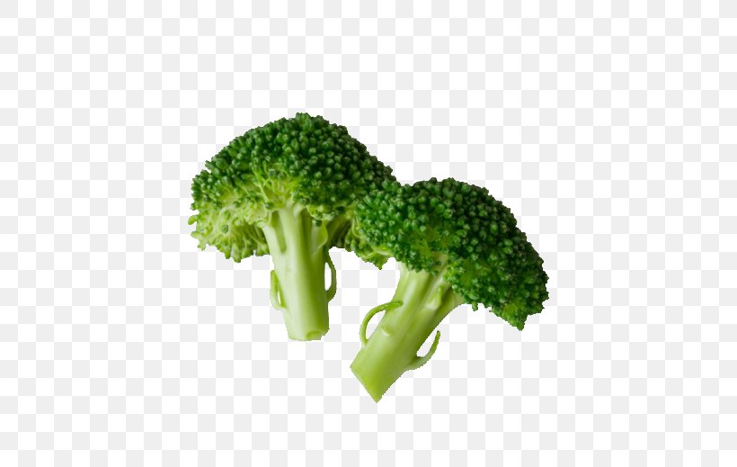 Broccoli Organic Food Cauliflower Cabbage Vegetable, PNG, 506x519px, Broccoli, Brassica Oleracea, Cabbage, Cauliflower, Dish Download Free