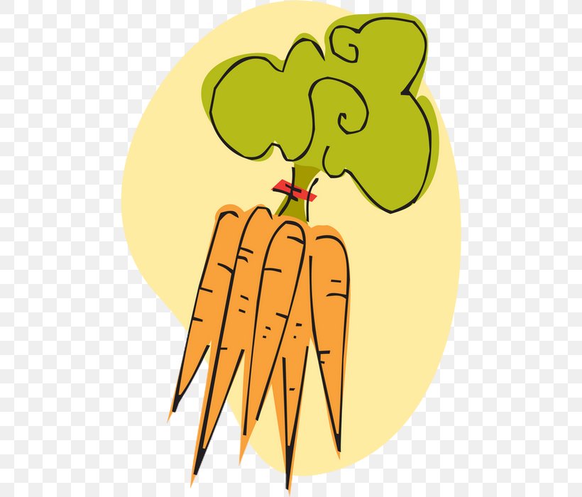 Carrot Vegetable Clip Art, PNG, 480x700px, Carrot, Area, Art Of Painting, Artwork, Astronomer Download Free