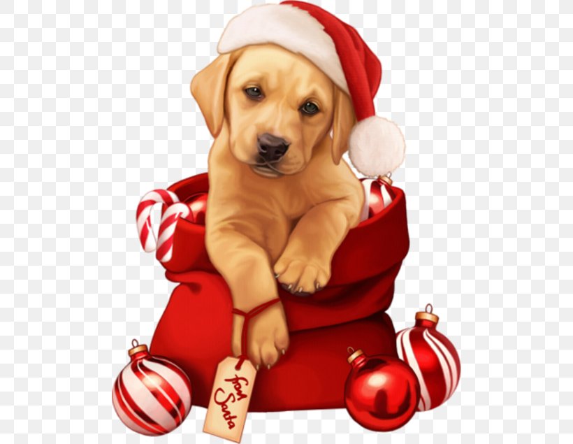 Puppy Pug New Year Christmas 0, PNG, 500x635px, 2018, 2019, Puppy, Carnivoran, Christmas Download Free