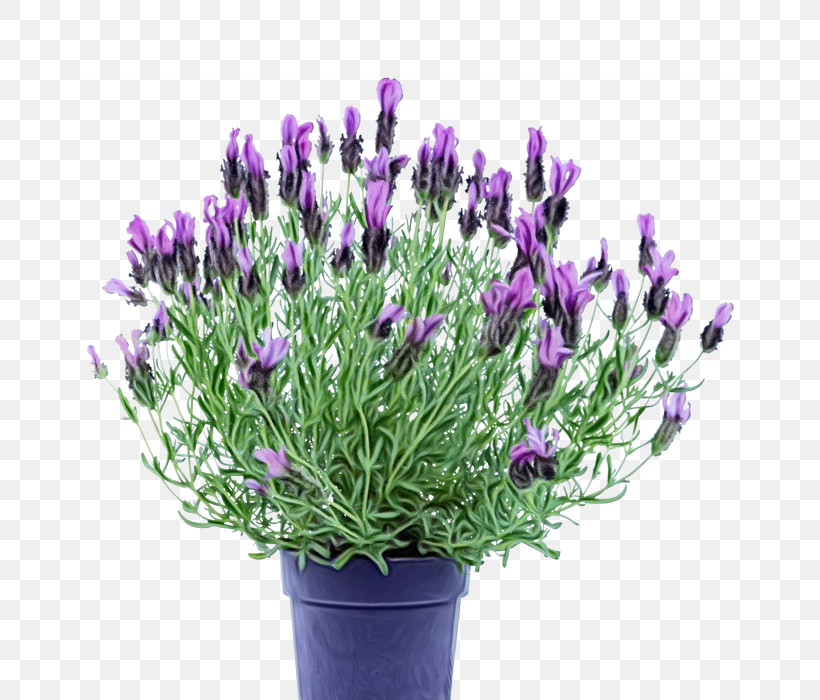 Artificial Flower, PNG, 700x700px, Watercolor, Artificial Flower, Cut Flowers, English Lavender, Flower Download Free