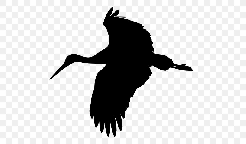 Bird Beak Wing Silhouette Crane-like Bird, PNG, 524x480px, Bird, Beak, Crane, Cranelike Bird, Ibis Download Free