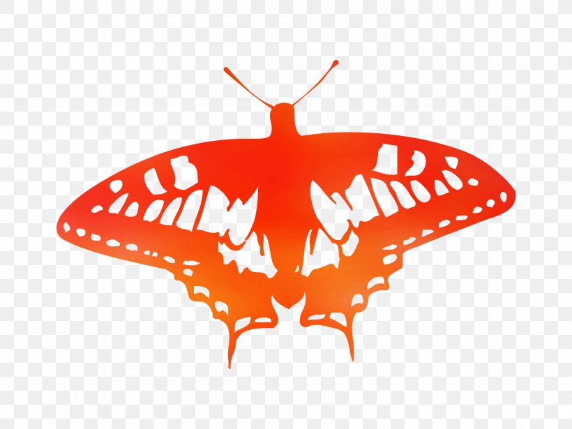 Butterfly Illustration Vector Graphics Royalty-free Clip Art, PNG, 2000x1500px, Butterfly, Drawing, Insect, Invertebrate, Logo Download Free