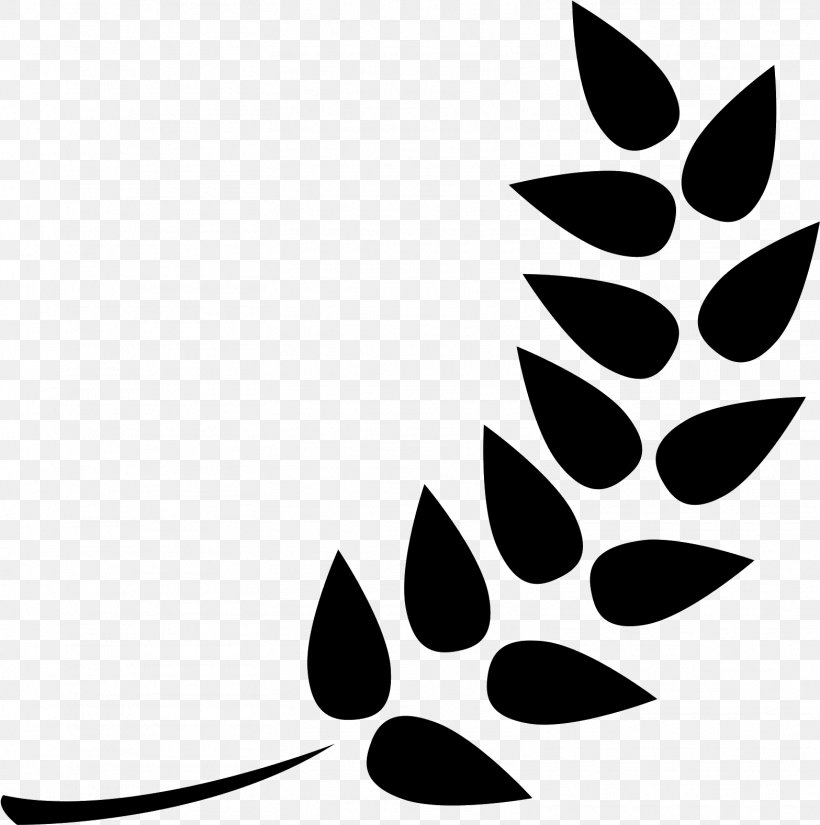 Tree Stencil, PNG, 1567x1577px, Leaf, Blackandwhite, Logo, Plant, Plants Download Free