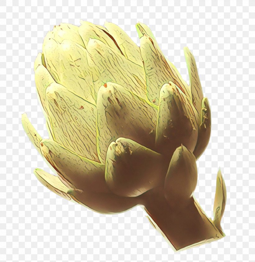 Vegetable Cartoon, PNG, 1211x1248px, Cartoon, Artichoke, Botany, Carciofi Alla Giudia, Cynara Download Free