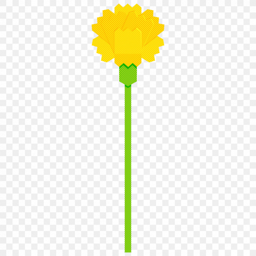 Carnation Flower, PNG, 1200x1200px, Carnation, Dandelion, Flower, Gerbera, Plant Download Free