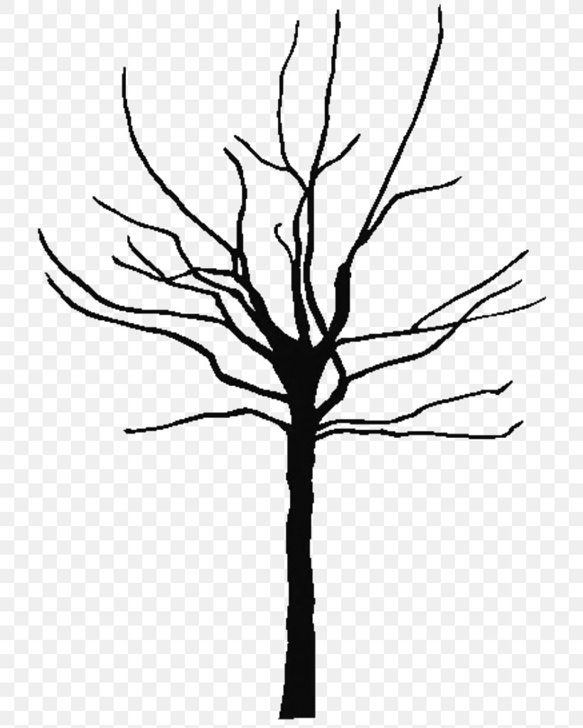 Family Tree Silhouette, PNG, 743x1024px, Twig, American Larch, Blackandwhite, Branch, Drawing Download Free