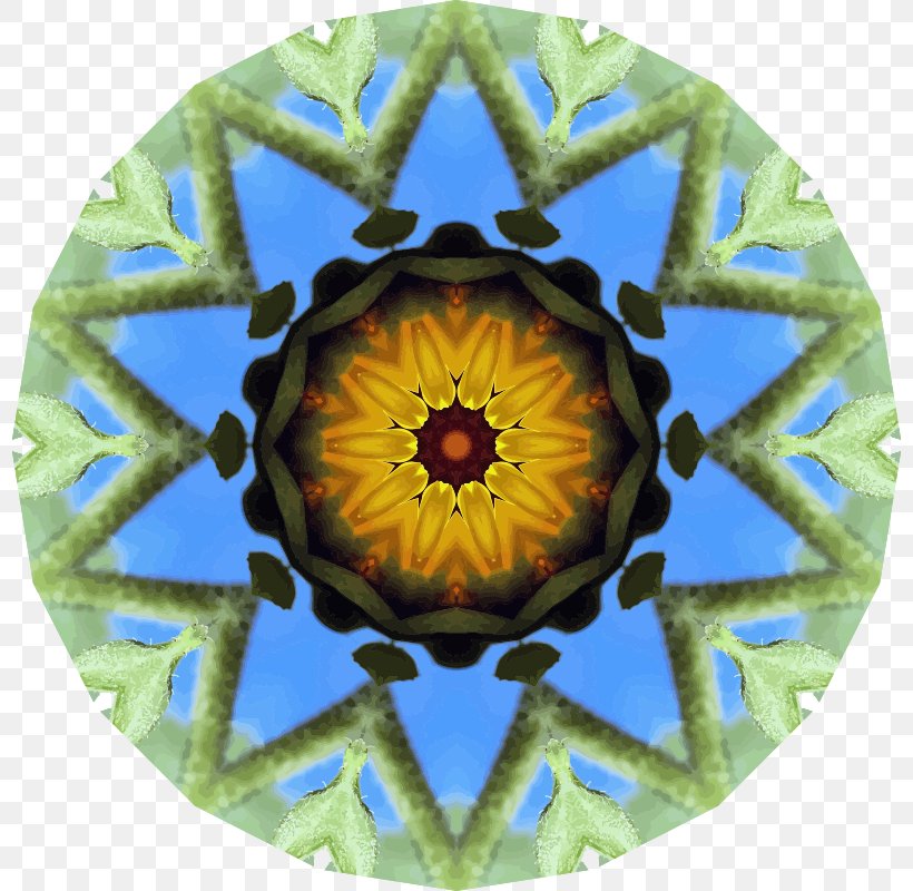 Kaleidoscope Symmetry Flower Organism, PNG, 798x800px, Kaleidoscope, Flower, Organism, Sunflower, Symmetry Download Free