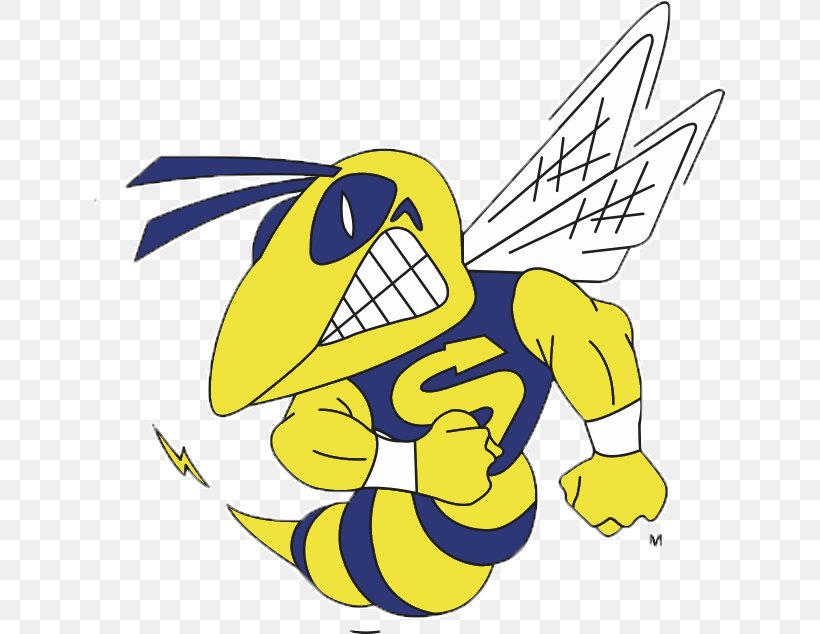 Saline High School National Secondary School Hornet The Saline Post, PNG, 632x634px, Saline High School, Art, Artwork, Cartoon, Charlotte Hornets Download Free