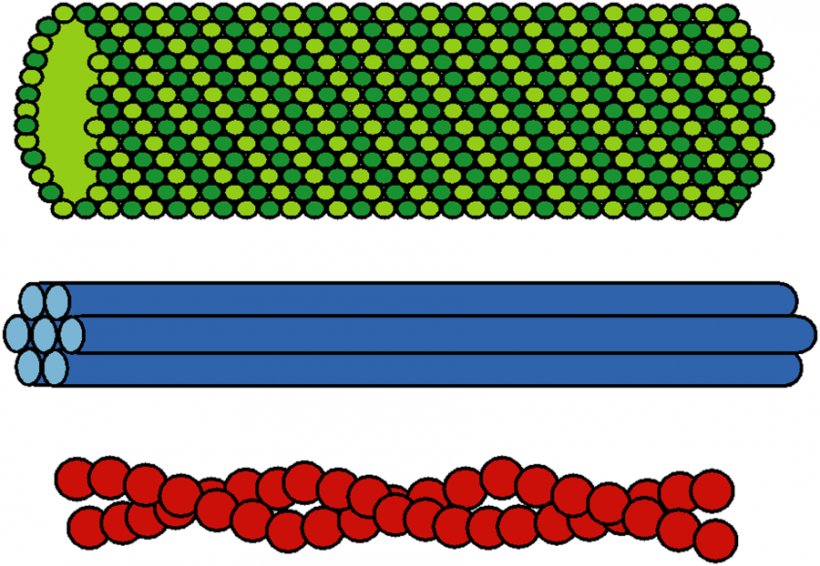 Applied Mechanics Reviews Cell Clip Art, PNG, 900x622px, Mechanics, Applied Mechanics, Applied Mechanics Reviews, Asme, Blood Cell Download Free