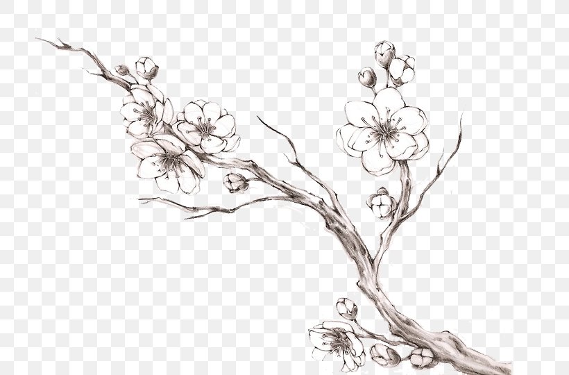Drawing Jewellery Twig Line Art, PNG, 733x540px, Drawing, Black And White, Body Jewellery, Body Jewelry, Branch Download Free