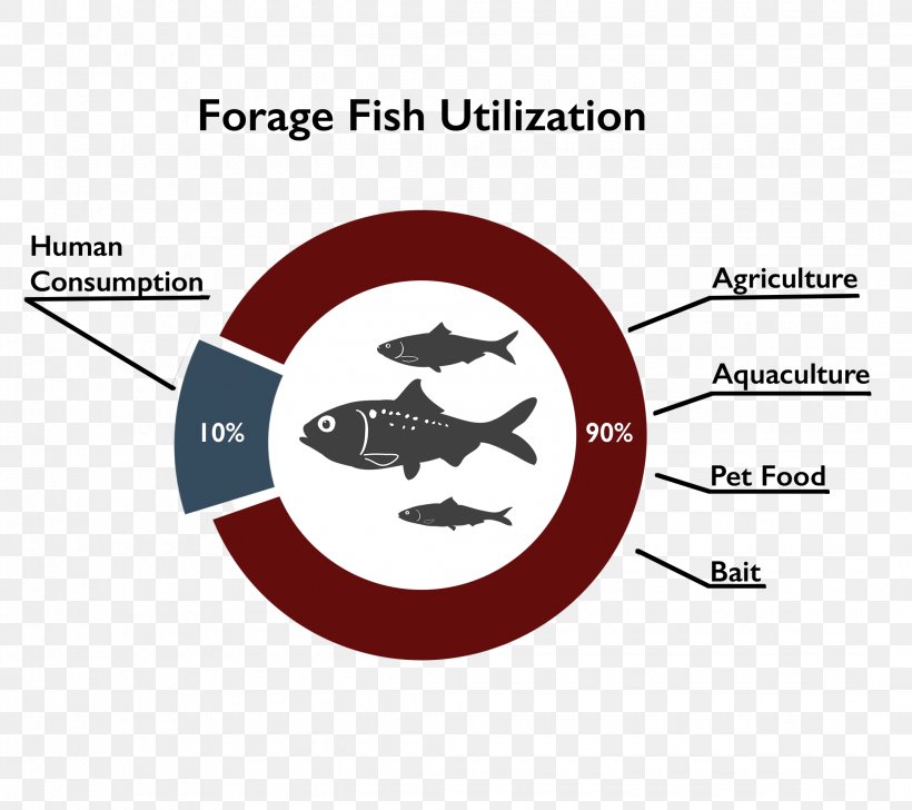 Forage Fish Aquaculture Food, PNG, 2160x1920px, Forage Fish, Algae, Animal, Aquaculture, Area Download Free