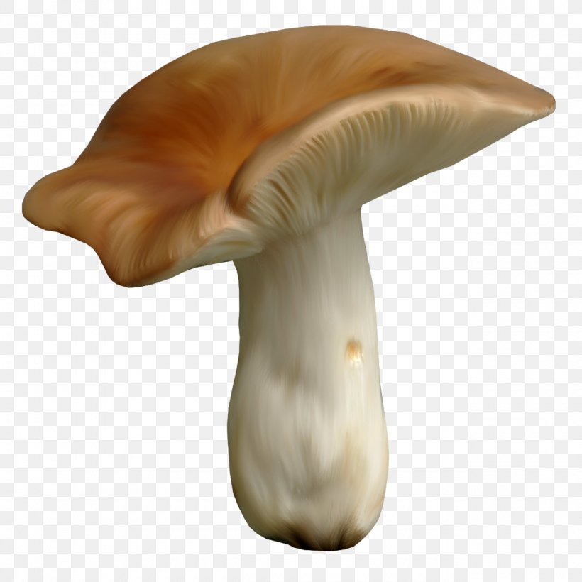 Mushroom Fungus Clip Art, PNG, 1280x1280px, Mushroom, Agaricaceae, Computer Software, Coreldraw, Digital Image Download Free
