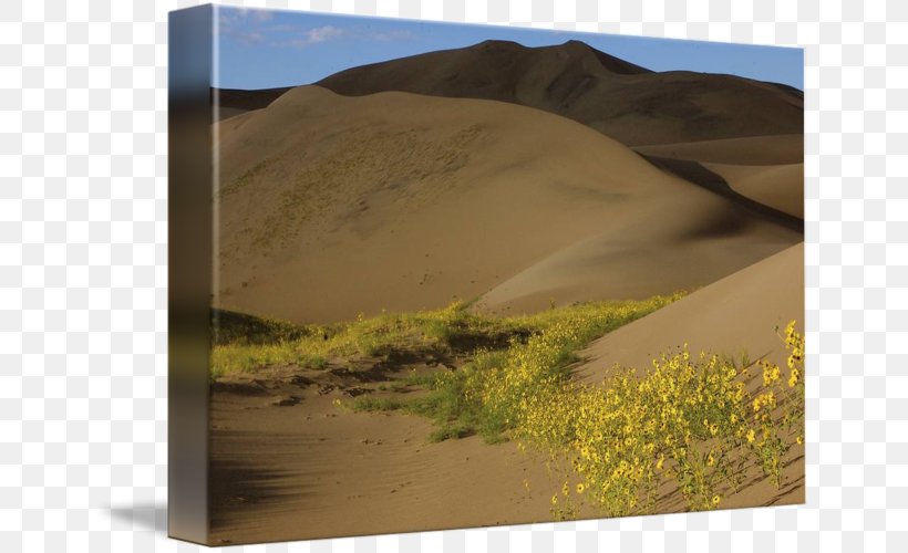 Singing Sand Ecoregion Plant Community, PNG, 650x500px, Singing Sand, Aeolian Landform, Community, Desert, Dune Download Free