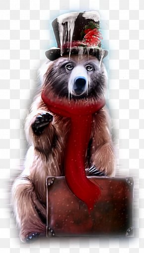 Dog - Desktop Wallpaper Dog 2018 Queenstown Winter Festival Photography PNG