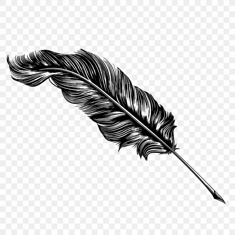 Paper Quill Drawing Pens Clip Art, PNG, 3508x3508px, Paper, Art, Black And White, Drawing, Feather Download Free