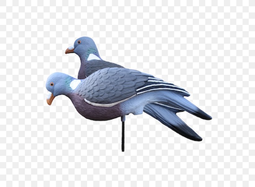Pigeons And Doves Decoy Common Wood Pigeon Hunting Stock Dove, PNG, 600x600px, Pigeons And Doves, Bag, Beak, Bird, Box Download Free