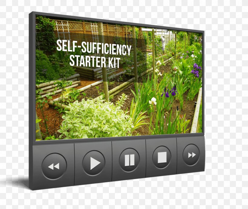 Self-sufficiency Multimedia Computer Monitors Live N Invest Real Estate Display Device, PNG, 1000x846px, Selfsufficiency, Americans, Computer Monitors, Display Device, Electronics Download Free