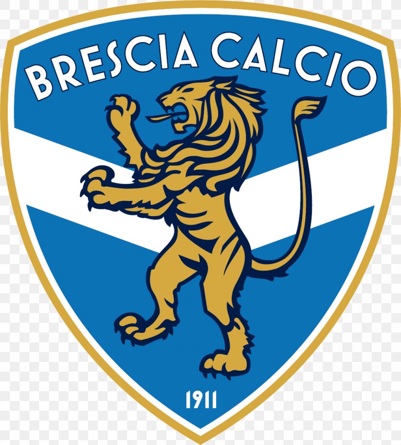 Brescia Calcio Suzzara Calcio 2000 Empoli F.C. Serie B, PNG, 1035x1149px, Brescia Calcio, Area, Ascoli Picchio Fc 1898, Association Football Manager, Brand Download Free