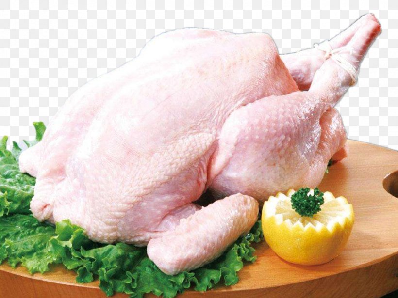 Broiler Satay Chicken Meat Betutu, PNG, 980x735px, Broiler, Animal Fat, Animal Source Foods, Betutu, Chicken Download Free