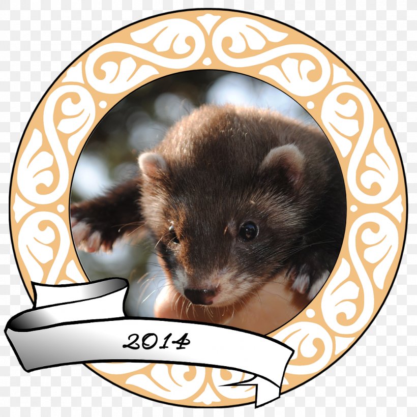 Ferret Marten Mink Dog Guinea Pig, PNG, 1050x1050px, Ferret, Carnivoran, Cartoon, Common Opossum, Dog Download Free