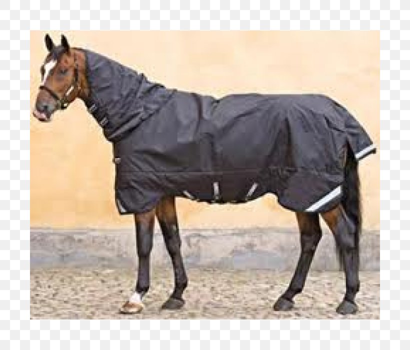 Horse Mare Stallion Weight Pack Animal, PNG, 700x700px, Horse, Animal, Bit, Blanket, Bridle Download Free