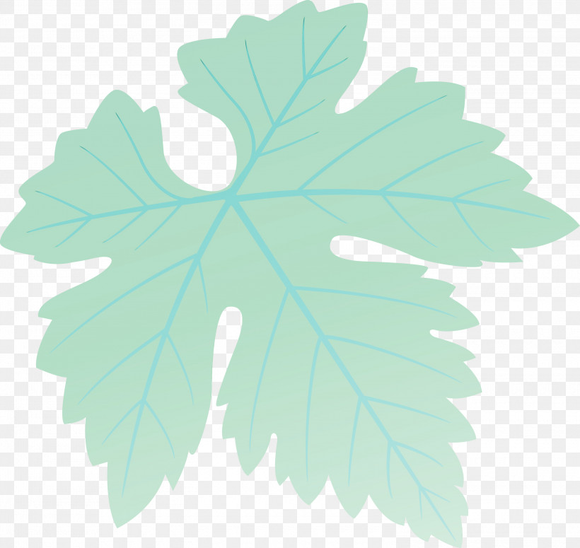 Maple Leaf, PNG, 3000x2836px, Grapes Leaf, Black Maple, Flower, Grape Leaves, Leaf Download Free