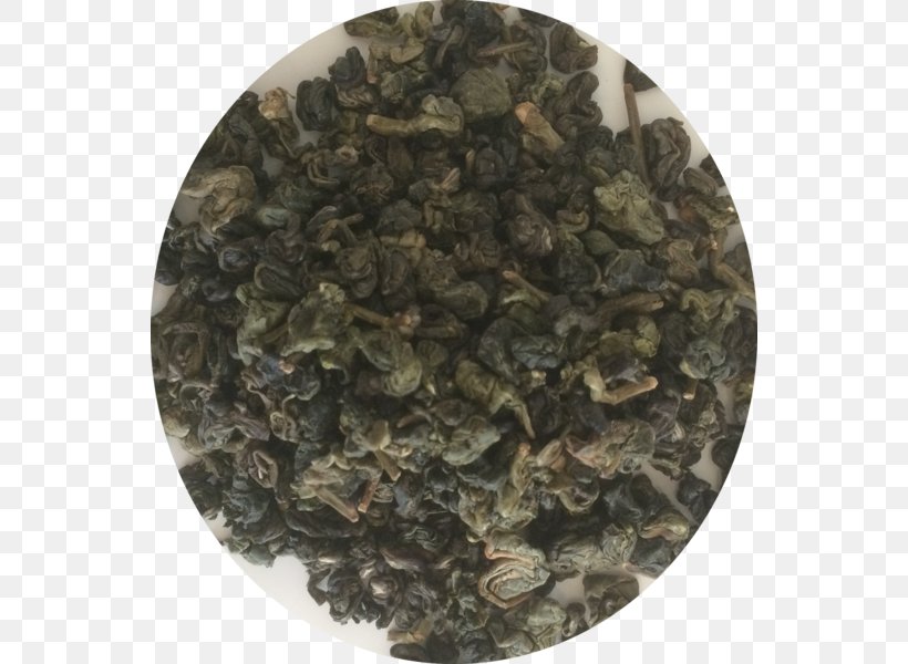 Oolong Nilgiri Tea Menghai County High-mountain Tea, PNG, 548x600px, Oolong, Biluochun, Camellia Sinensis, China, Cup Download Free