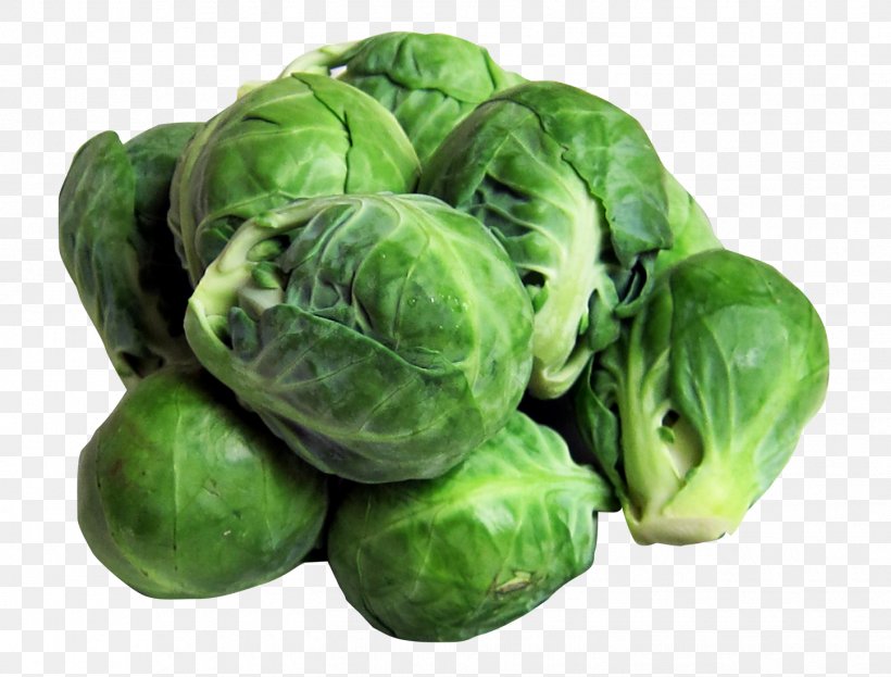 Brussels Sprout Vegetable Broccoli Sprouts Sprouting Food, PNG, 1447x1100px, Brussels Sprout, Broccoli, Broccoli Sprouts, Cabbage, Cauliflower Download Free
