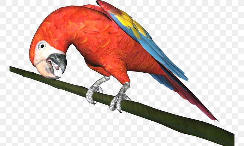 Budgerigar Macaw Parrot Bird Parakeet, PNG, 756x490px, Budgerigar, Animal, Beak, Bird, Common Pet Parakeet Download Free