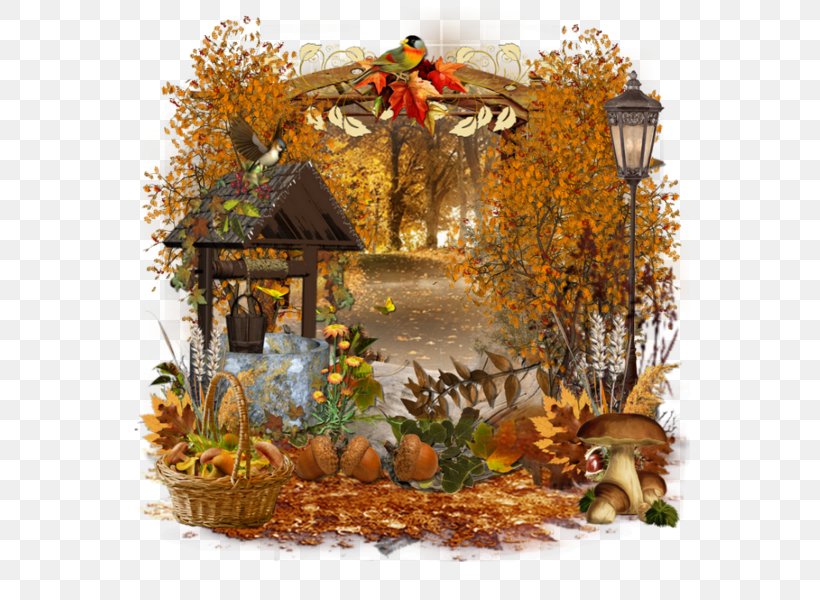 Cartoon Autumn Background Concentration, PNG, 600x600px, Drawing, Autumn, Flower, Illustrator, Leaf Download Free