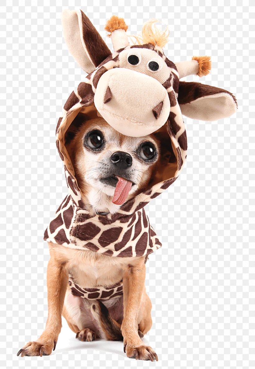Chihuahua Giraffe Halloween Costume Stock Photography, PNG, 951x1378px, Chihuahua, Carnivoran, Clothing, Companion Dog, Costume Download Free