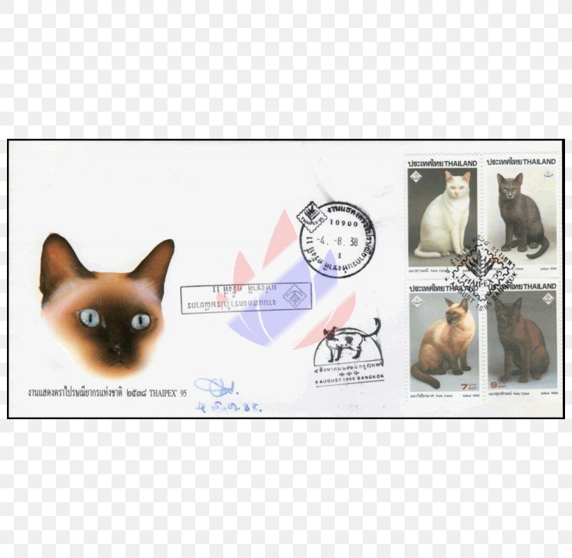 Dog Breed Puppy Khao Manee Leash, PNG, 800x800px, Dog Breed, Breed, Carnivoran, Cat, Cat Like Mammal Download Free