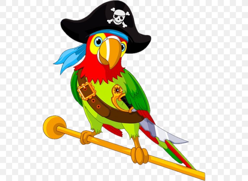 Pirate Parrot Vector Graphics Illustration Clip Art, PNG, 600x600px, Parrot, Beak, Bird, Common Pet Parakeet, Feather Download Free