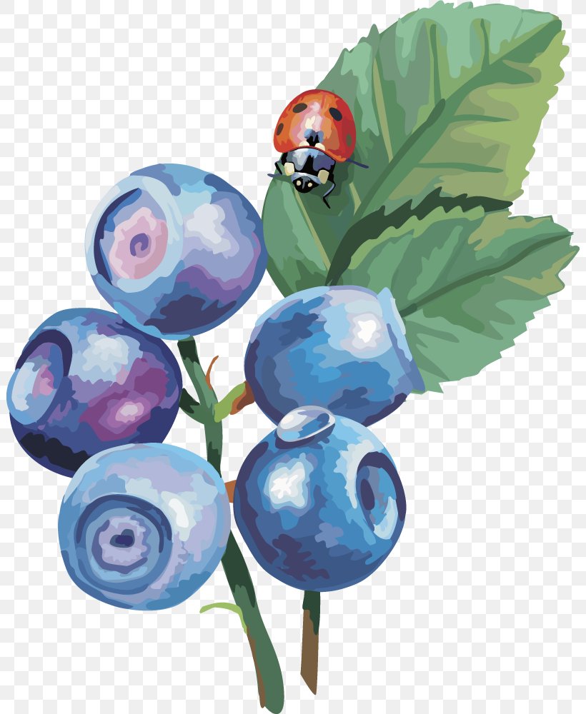 Bilberry Drawing Clip Art, PNG, 802x1000px, Bilberry, Auglis, Berry, Blueberry, Display Resolution Download Free