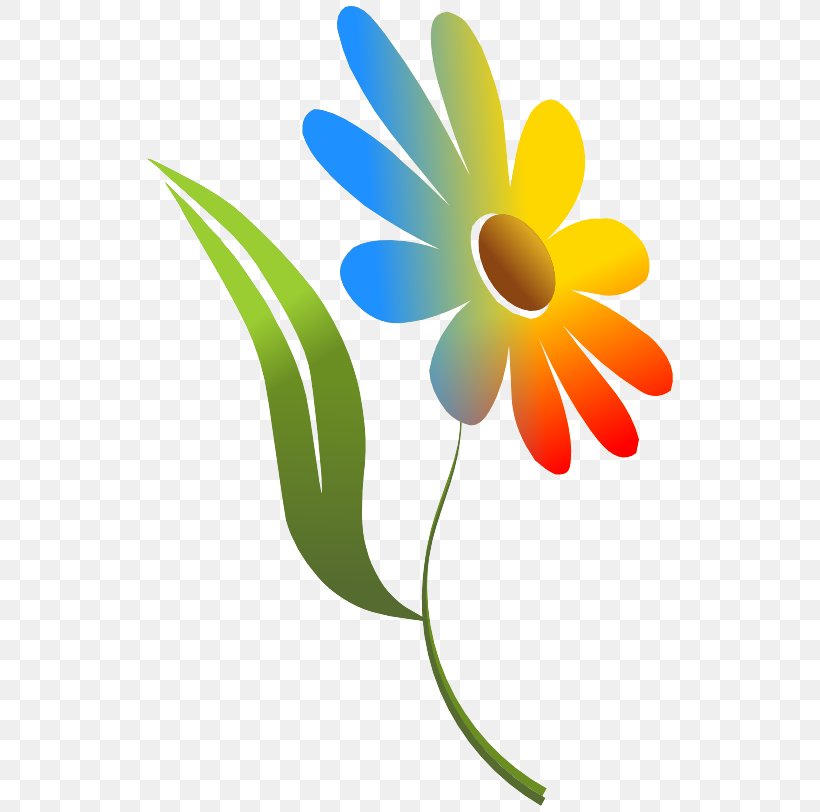 Clip Art Petal Plant Flower Chamomile, PNG, 538x812px, Petal, Chamomile, Flower, Gerbera, Logo Download Free
