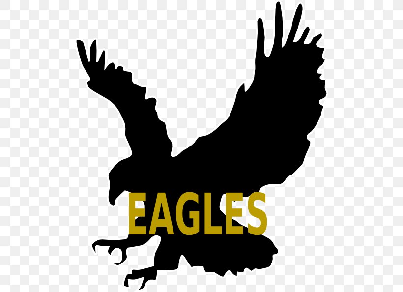 Bald Eagle Bird Silhouette Clip Art, PNG, 516x594px, Bald Eagle, Art, Artwork, Beak, Bird Download Free