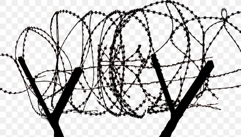 Barbed Wire Barbed Tape Concertina Wire, PNG, 1000x569px, Barbed Wire, Area, Barbed Tape, Black And White, Branch Download Free