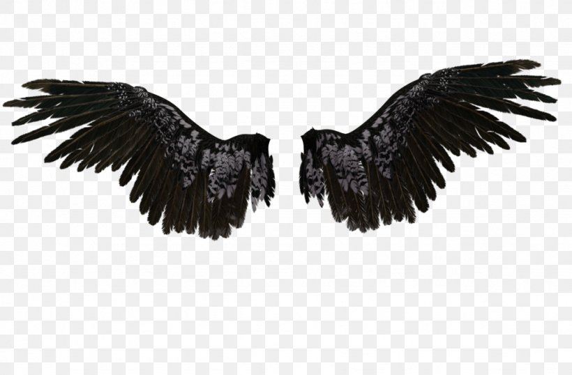 Castiel Drawing Wings Angel, PNG, 1024x673px, Castiel, Angel, Art, Beak, Bird Download Free