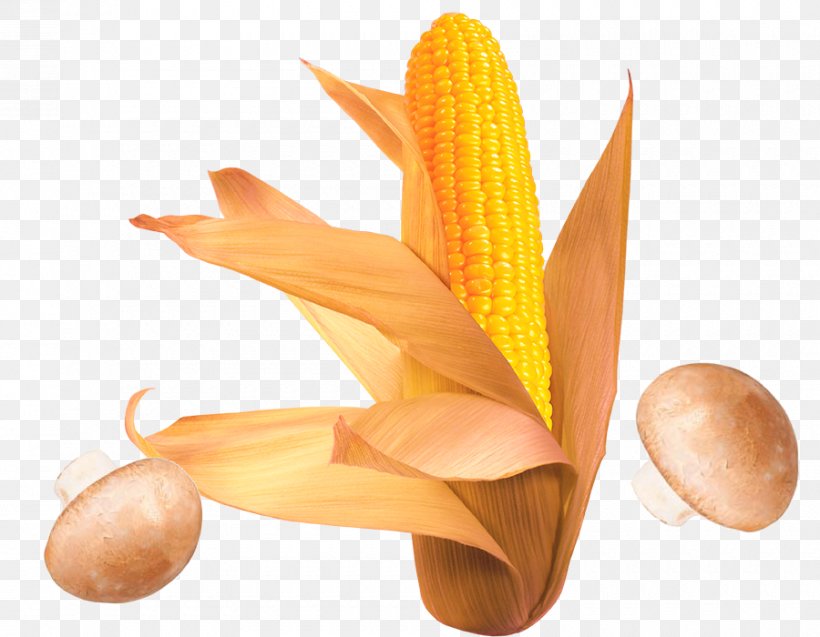 Corn On The Cob Waxy Corn Flint Corn Sweet Corn, PNG, 900x700px, Corn On The Cob, Caryopsis, Cereal, Commodity, Corn Kernel Download Free