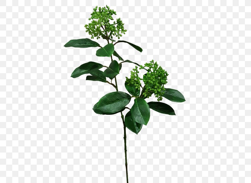 Flowerpot Leaf Plant Stem Herb, PNG, 800x600px, Flowerpot, Branch, Branching, Flower, Herb Download Free