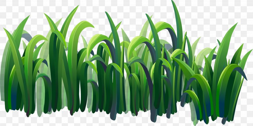 Illustration, PNG, 3001x1497px, Grass, Color, Drawing, Grass Family, Grassland Download Free