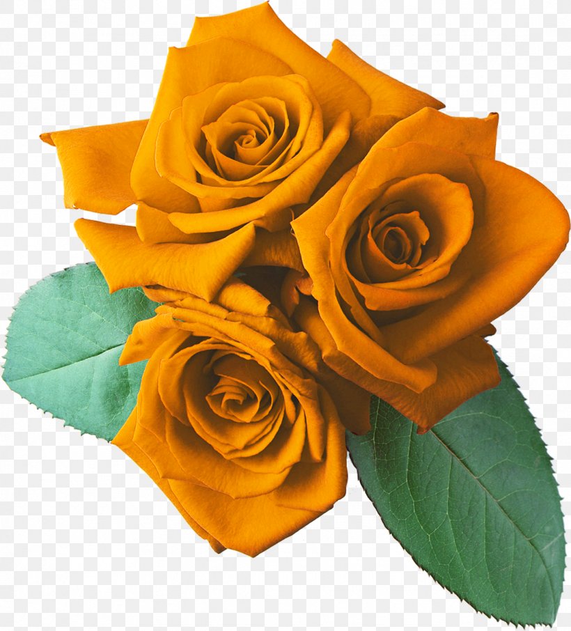 Rose Clip Art, PNG, 1085x1200px, Rose, Cut Flowers, Floral Design, Floribunda, Floristry Download Free