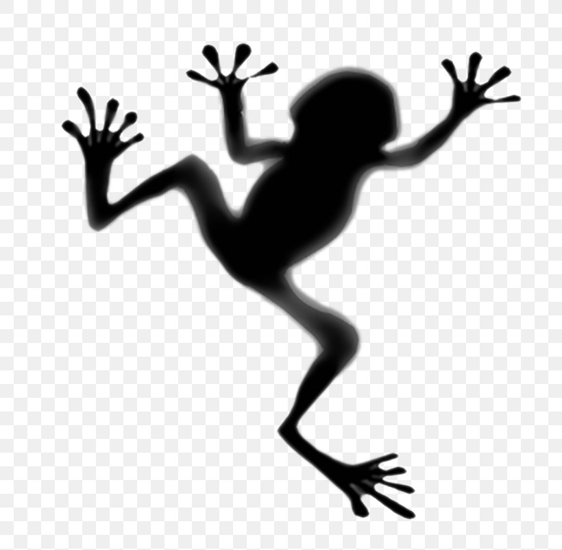 Toad Tree Frog Tattoo Panamanian Golden Frog, PNG, 800x802px, Toad, Amphibian, Arm, Artwork, Black And White Download Free