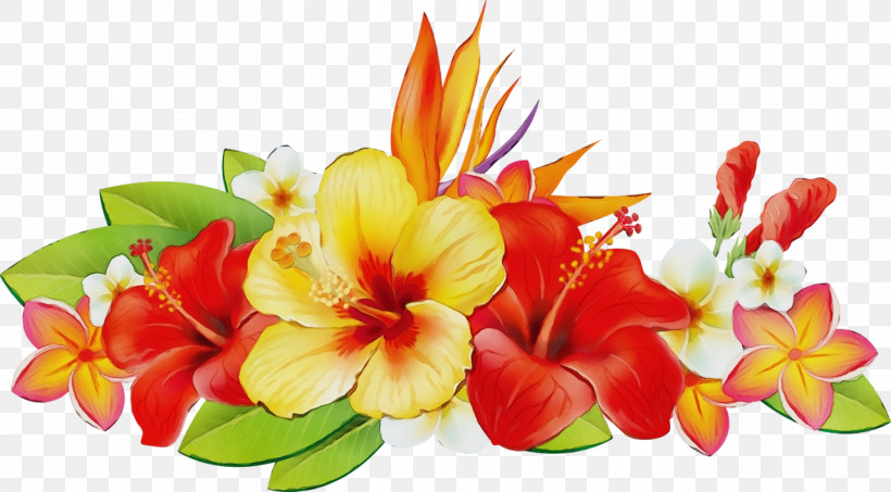 Floral Design, PNG, 1280x708px, Watercolor, Canna, Cut Flowers, Floral Design, Flower Download Free