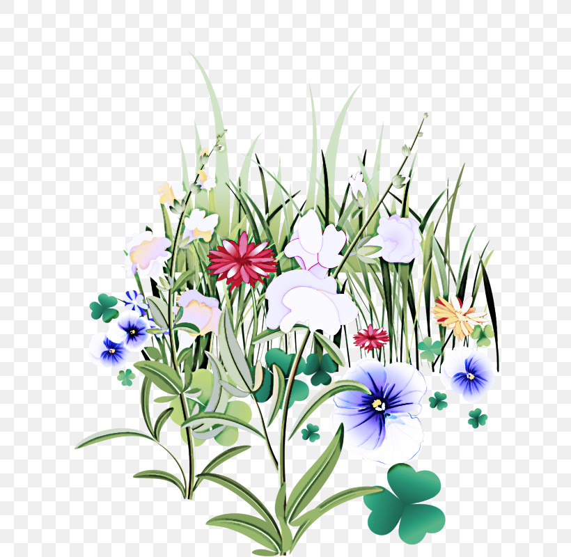 Flower Plant Wildflower Delphinium Iris, PNG, 639x800px, Flower, Delphinium, Herbaceous Plant, Iris, Ixia Download Free