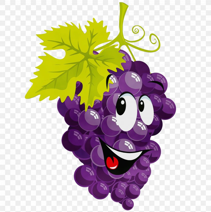 Grape Grapevine Family Purple Violet Vitis, PNG, 2866x2882px, Watercolor, Cartoon, Fruit, Grape, Grapevine Family Download Free
